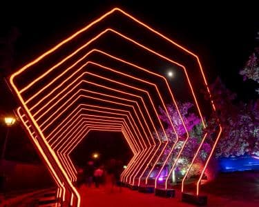 alt_im: MIRAMAR MAGIKOA - Viernes, 12/12